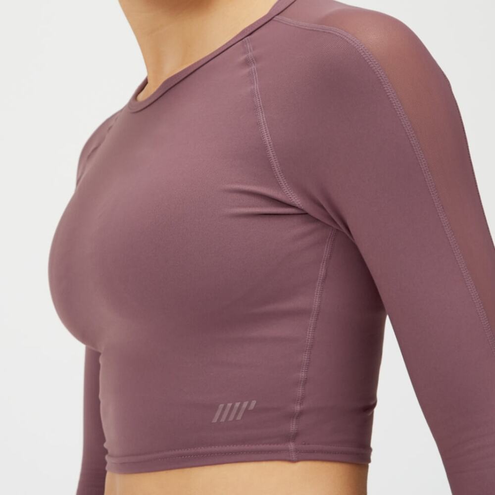 Power Long Sleeve Crop Top in Mauve